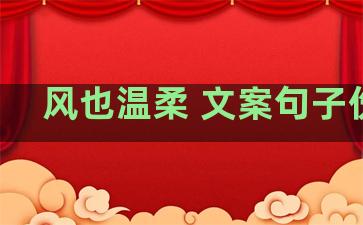 风也温柔 文案句子伤感